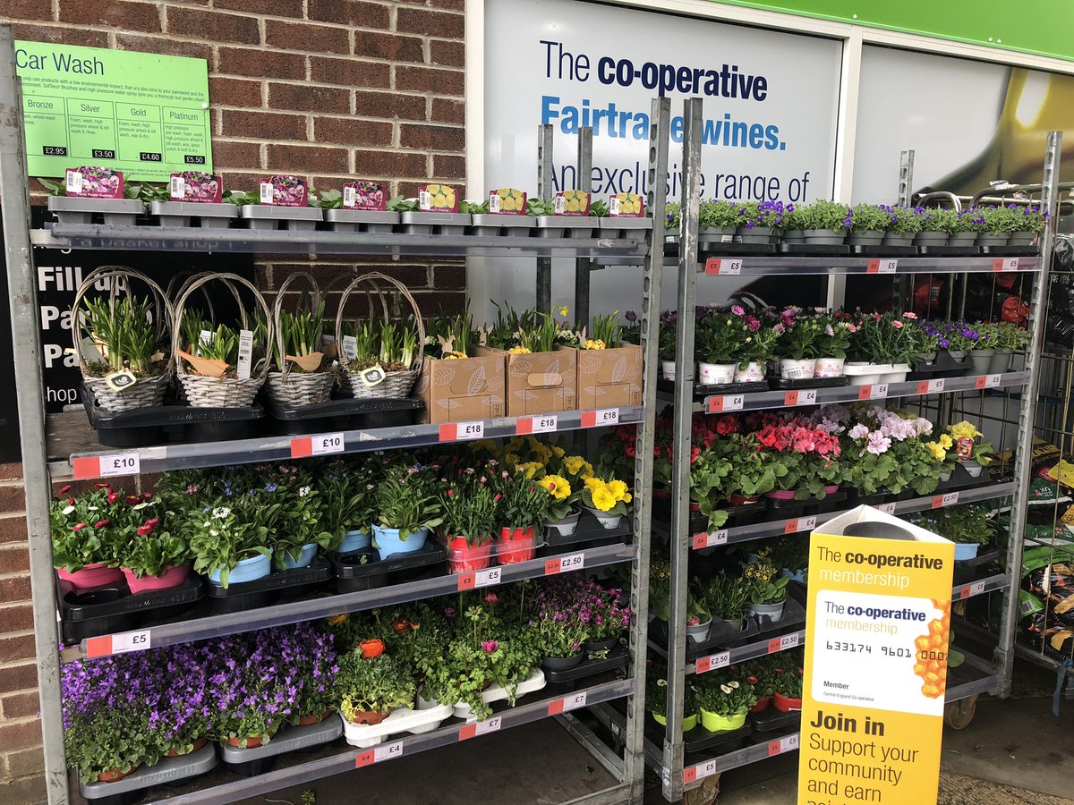 kevintromans tweet media