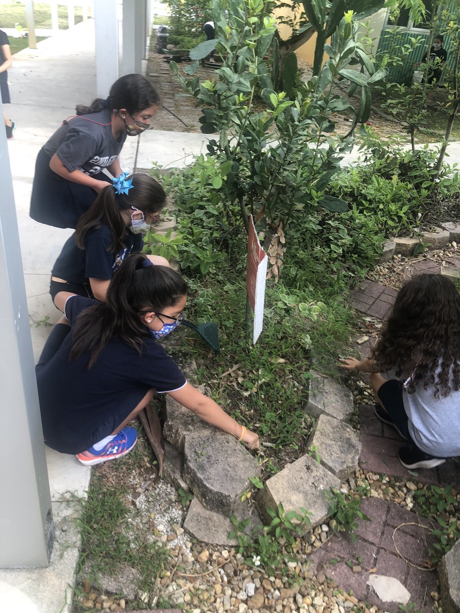 JuankyDiaz's tweet photo. Itβs almost #spring πΏ. Working with @cpe_prek on the @EducationFund #foodforrest #schoolgarden plant π± right before the rain π§ @CoralParkElemS #lunadiaz πͺ΄#3rdgrade #cpe #handsonscience goes perfect with our scienceππ π lessons @STEMDesignation @MDCPSSTEAM @TLCabrera3 https://t.co/coVHXQtww8