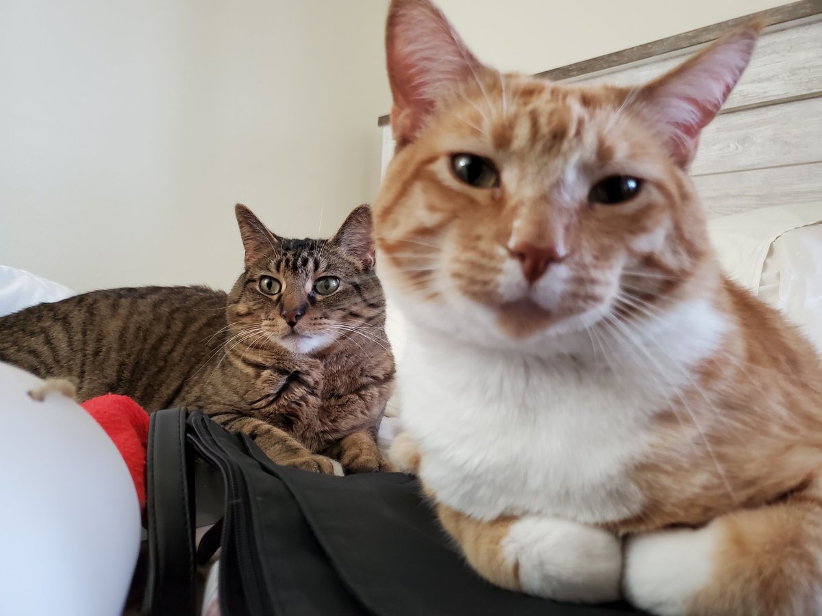 TormundTheTiny's tweet photo. Yeah we're the Boys of your Dreams https://t.co/yRI9eMB99x