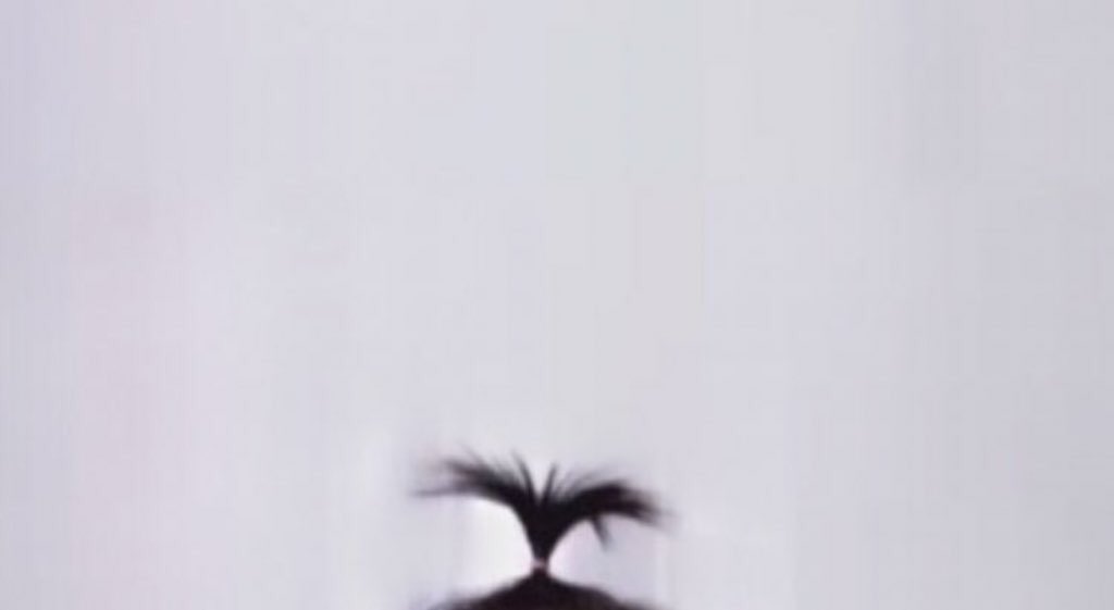 ana dumas tweet media