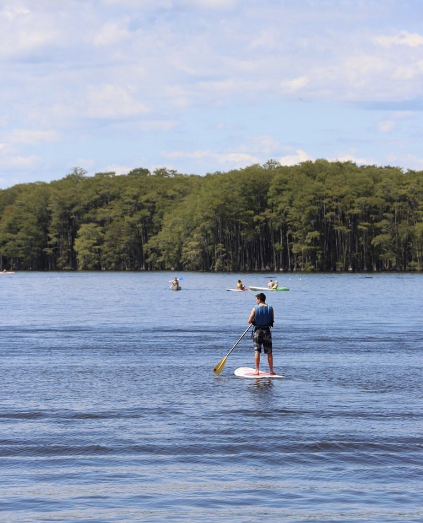 FSU Student Affairs tweet media