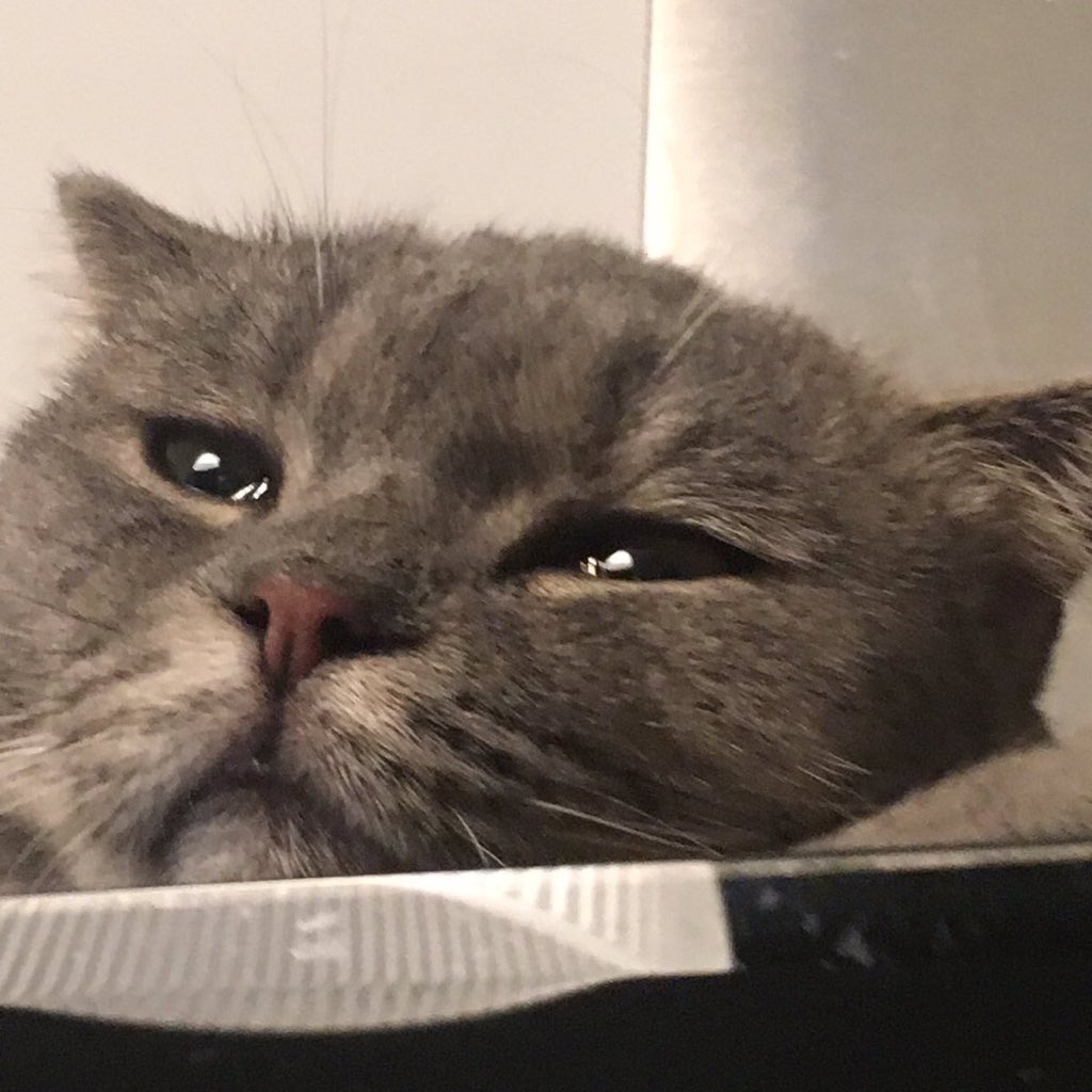 Ben; Hicbir seyi umursamıyorum artık
Yine ben;