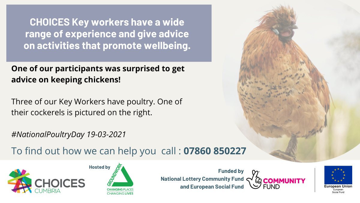 ChoicesCumbria's tweet photo. On #NationalPoultryDay three of our Key workers are ready to offer advice on keeping chickens 😀

Funded by National Lottery Community Fund 
@TNLComFund and European Social Fund. https://t.co/fMVXvJl7x1