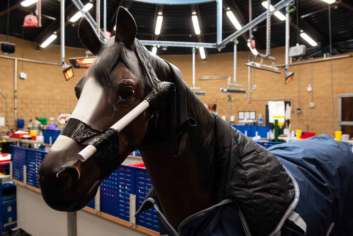 VetEd2021 tweet media