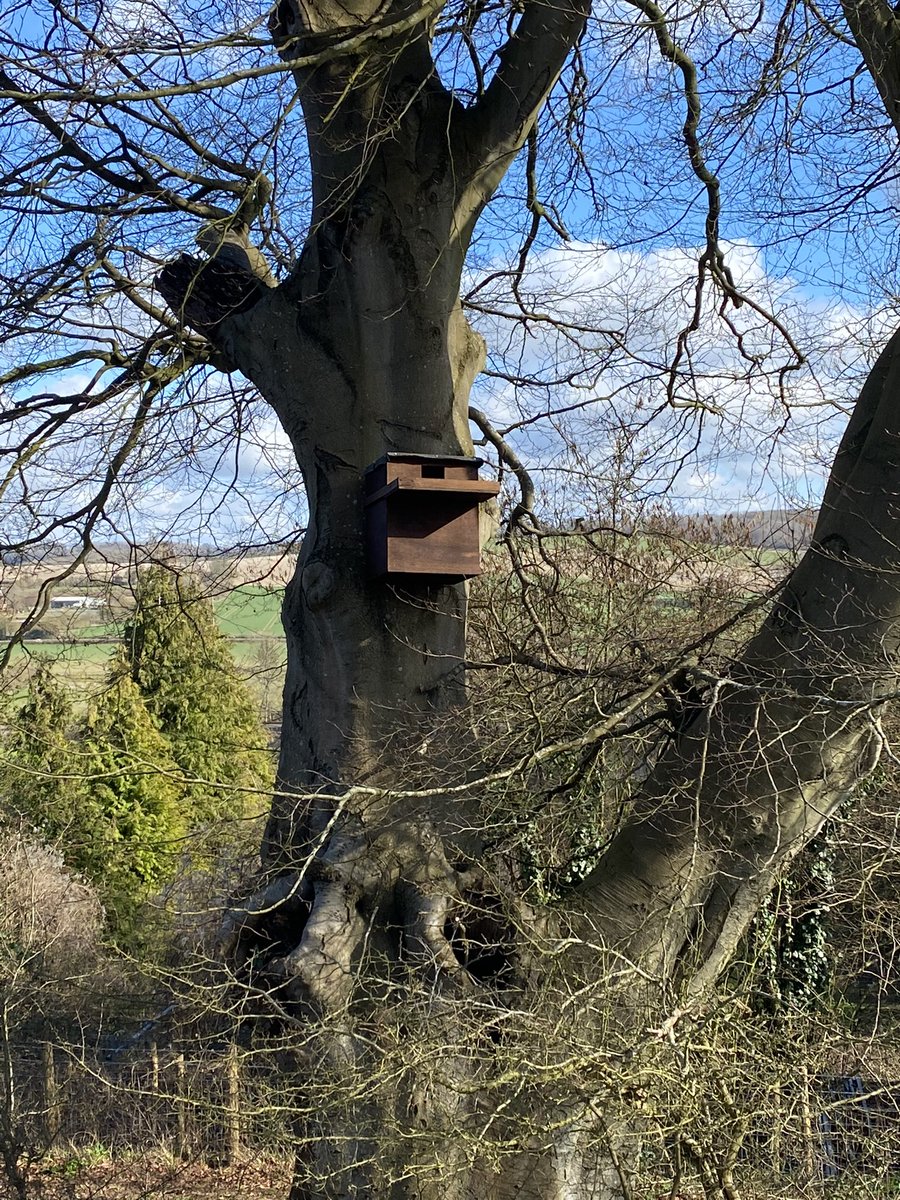 One of the guys up the road made a couple of barn owl boxes for us 🥰