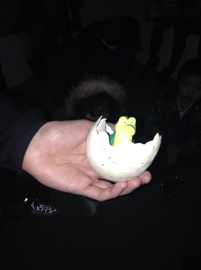 TeamFoundation_'s tweet photo. They've hatched! Time to go back to the dinosaur forest #reception #dinosaurs https://t.co/F8u9TSeMEQ