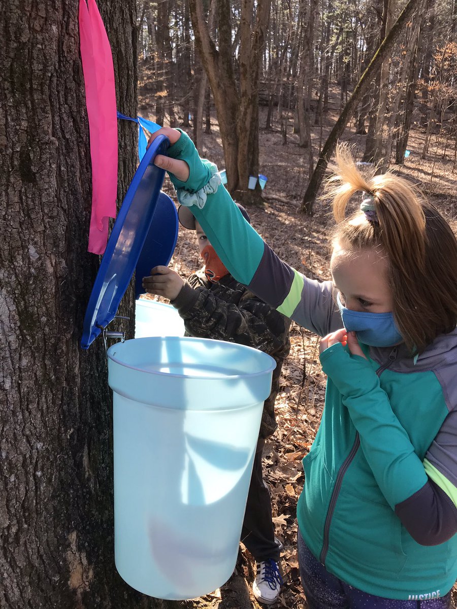 Miss Bass' Class tweet media