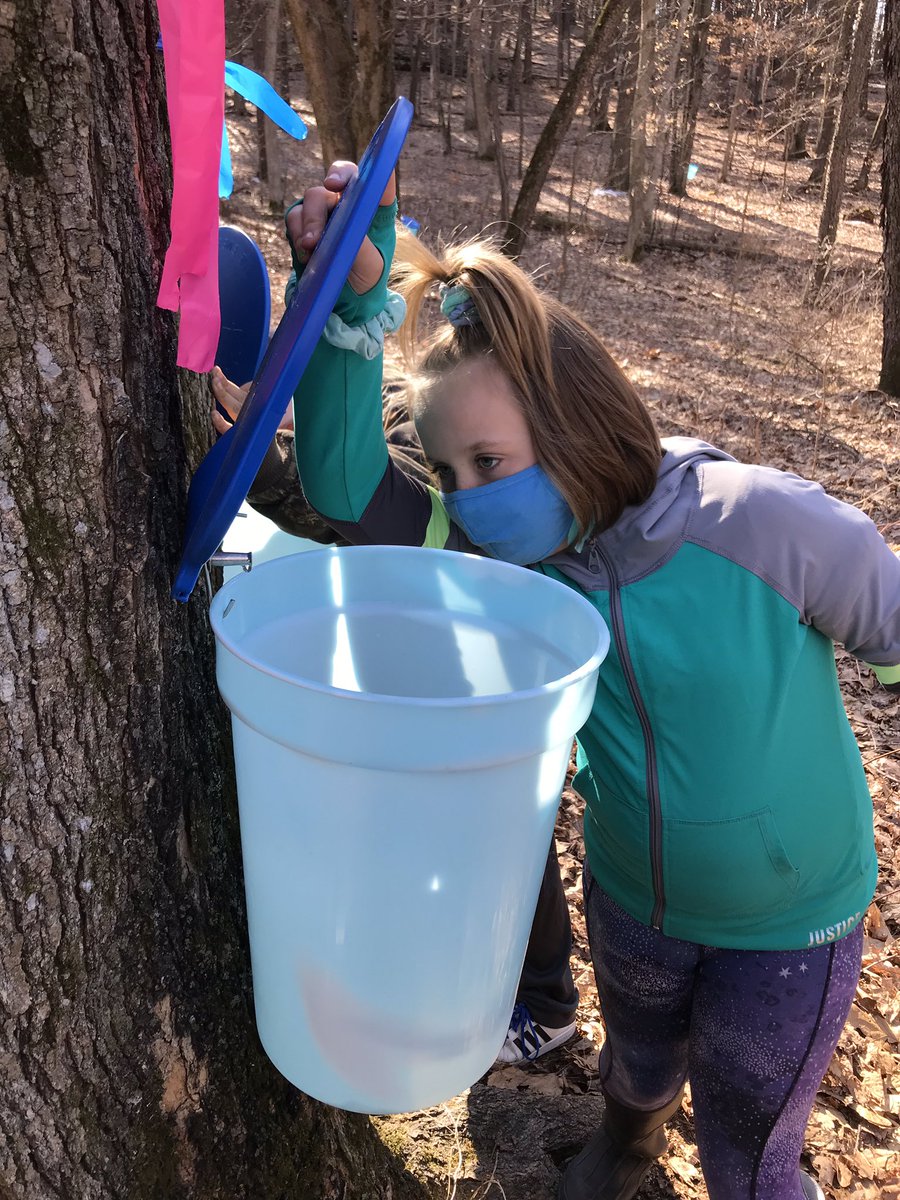 Miss Bass' Class tweet media