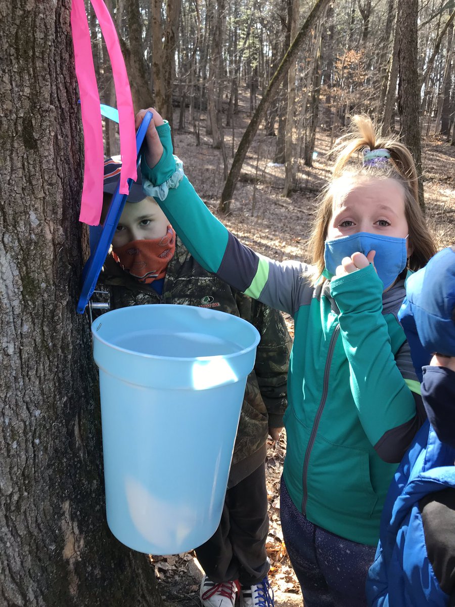 Miss Bass' Class tweet media