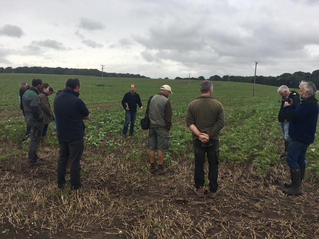 IFarmers's tweet image. This is why #farmerled research is vital👇

65% of UK land used to grow 🥔 is infected with pest PCN

🚜Farmers knew #vydate ban was on the way

So researched #pesticidefree techniques

🌱Discovered key #trapcrop knowledge making them ahead of the curve

👉bit.ly/38ZHhPz