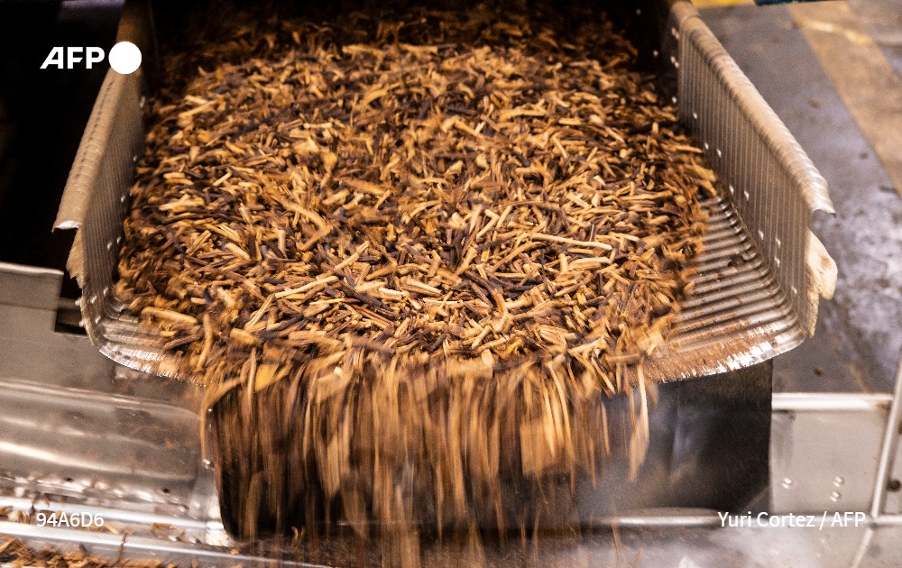 tovarguedez's tweet image. &quot;¡Barato Ibiza, barato!&quot;, grita un hombre en Catia, donde comerciantes informales venden cigarrillos que llegan a una Venezuela en crisis por contrabando y que, por costar menos, invaden el mercado.

Mi nota @AFPespanol➡️ u.afp.com/Ufqi
📷 @YuriYurisky 📹@camillerodrmont