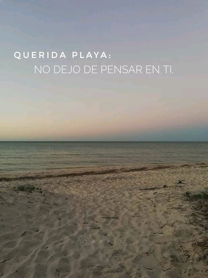thsy_serrano's tweet photo. Siempre. https://t.co/ws9hceGdLp