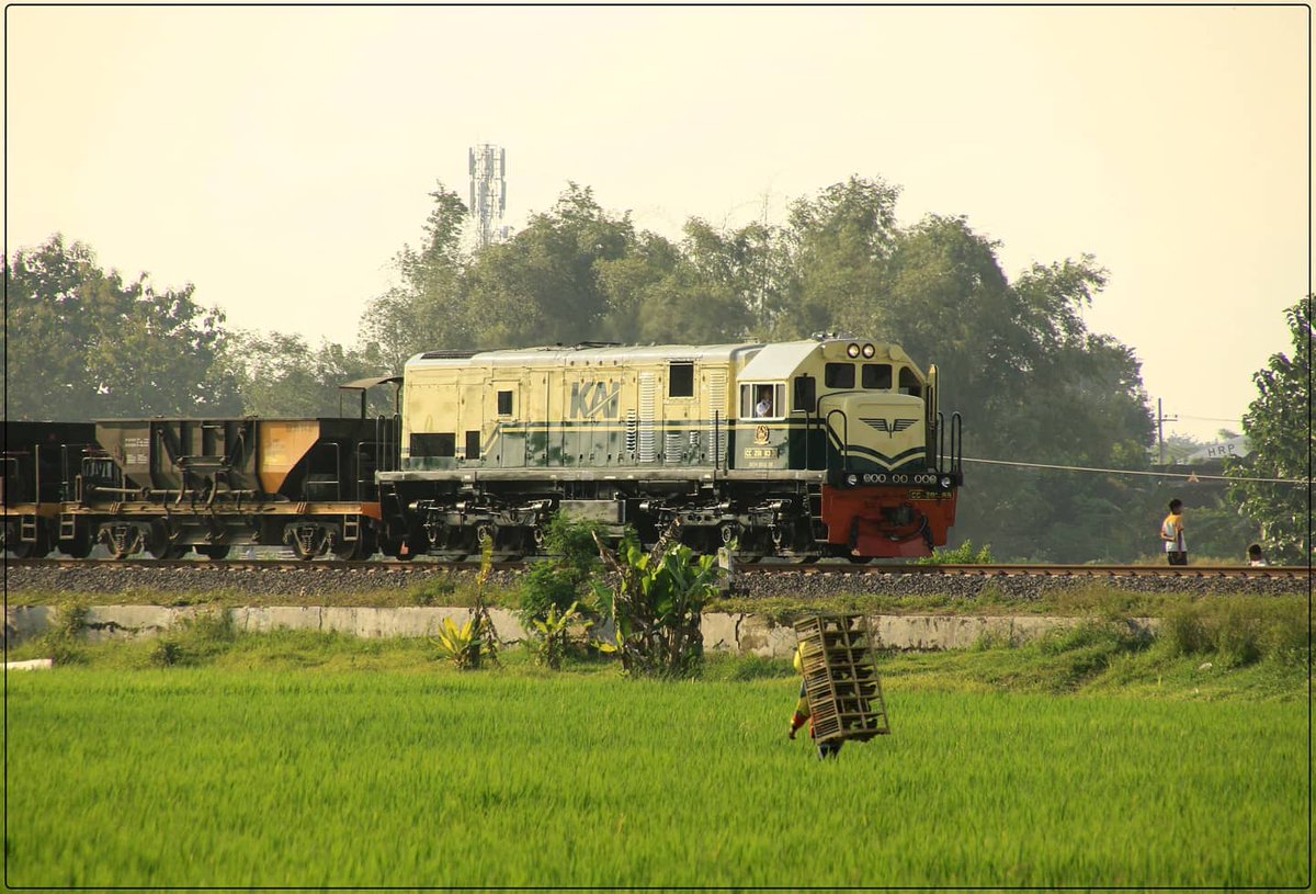 rioprabowohrp's tweet photo. Ngetren burung doro di sore hari, ditemani lok retro livery CC 201 69. Yang sedang menghela rangkaian KLB Balast Daop IV.
#fotosepur #retrolivery #cc20169 #pjka #keretaapikita https://t.co/UQ857qJu0d