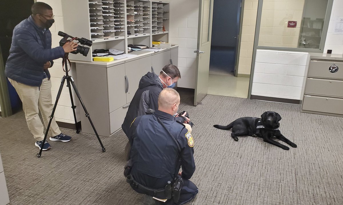 ChWarnerDTPD's tweet photo. #K9Tor getting some more media attention from the folks @PennLive #ESDK9 #WorkingDogs #DTPD https://t.co/FO7w0HNtGo