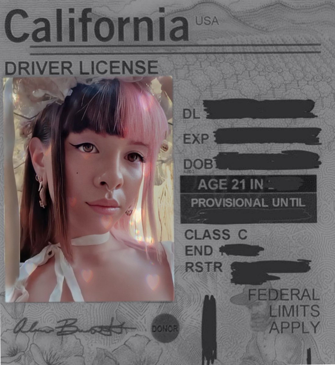 MELFILES's tweet photo. she took her drivers license last week https://t.co/V3ymxJXkHH