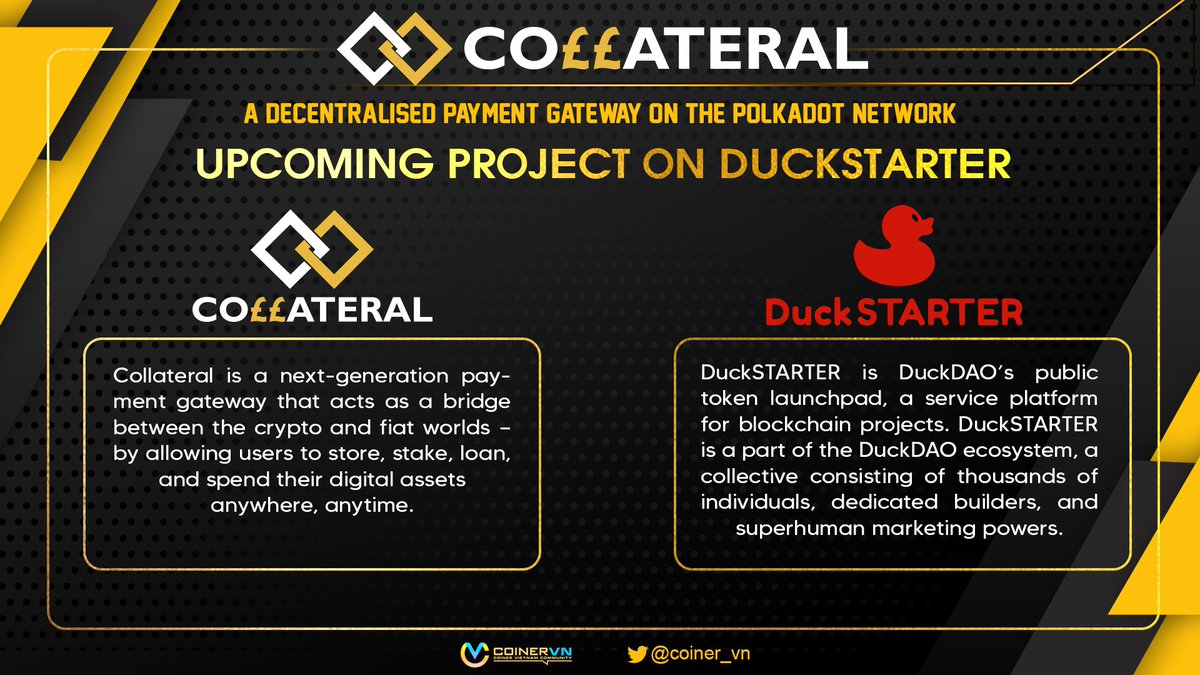 Coiner_VN tweet media