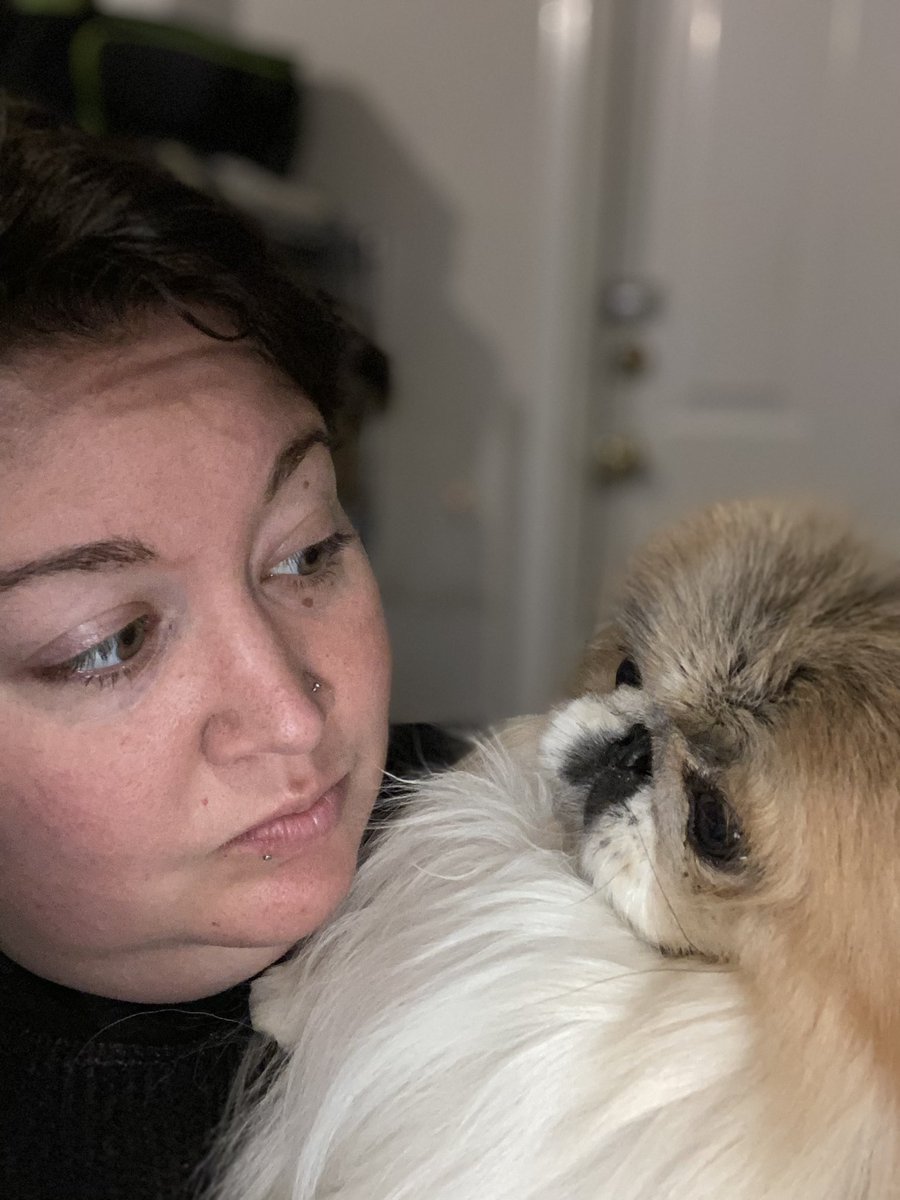 AcademyPaws's tweet photo. Dog training should strengthen the bond between you and your dog, not strain it. Contact me to find out how positive dog training can improve your life and the connection between you and your dog!
#ProfessionalPawsAcademy #PositiveDogTraining #DogTraining #TriadDogs https://t.co/Bt2HxLE5KM