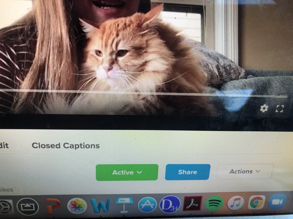 SraWelsh's tweet photo. Ss did a virtual “mascota show &amp; tell”/pet show &amp; tell in Spanish using @Flipgrid So fun &amp; so cute to see everyone’s pets! Ss loved watching &amp; leaving comments ❤️🐶😸🐰🐹 #WeAreD34 https://t.co/jlOEdceYfQ