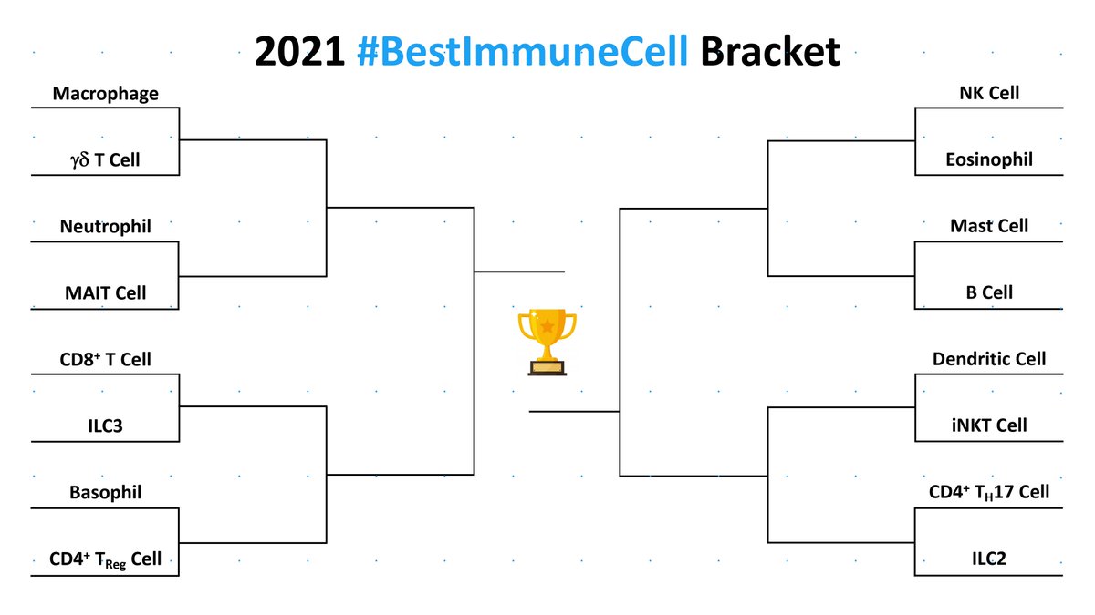 Alright Twitter, here's your #BestImmuneCell bracket!

Innate cells. Adaptive cells. Each of them have unique benefits to our health. But which one is the "best"?🏆

You vote. Winners advance every 24 hrs

Round 1 tips off on March 22🗓️

#Immunology #AcademicTwitter #MarchMadness