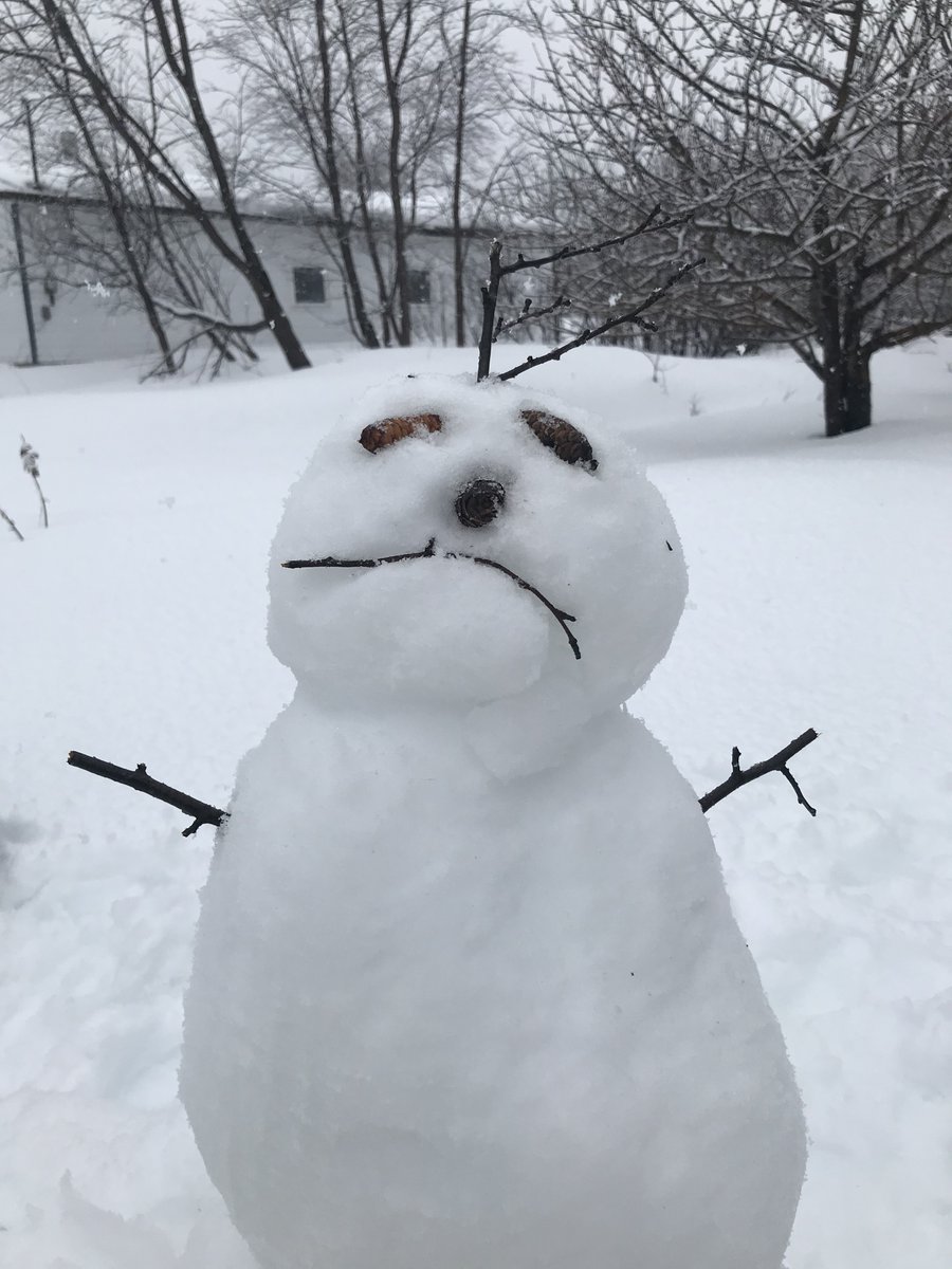 ViviRamirezLuna's tweet photo. My snow-woman in Lewisporte, NL in the Climate Strike!! #NoMoreEmptyPromises @FridaysForFutureStJohns @SJCNL709 https://t.co/haaSEmtPUZ