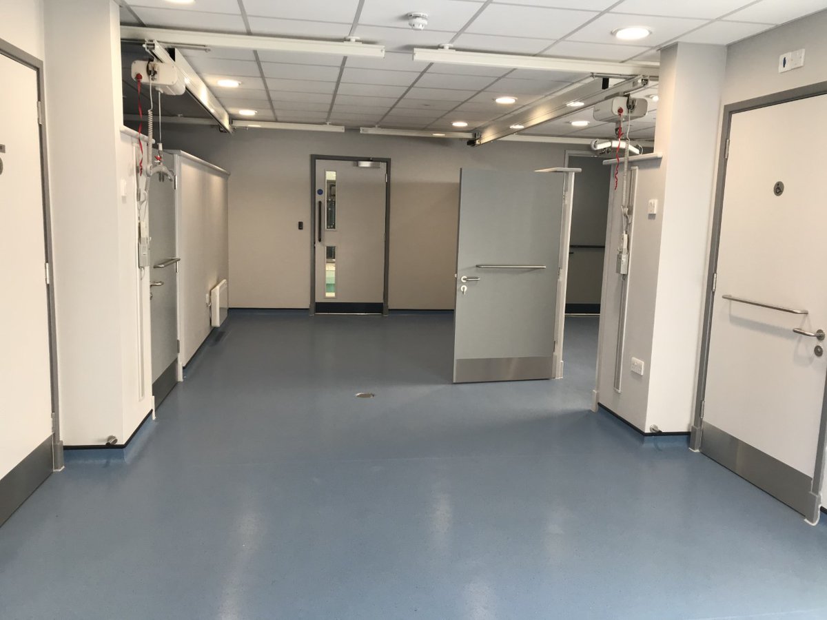 Five Acre Wood tweet media