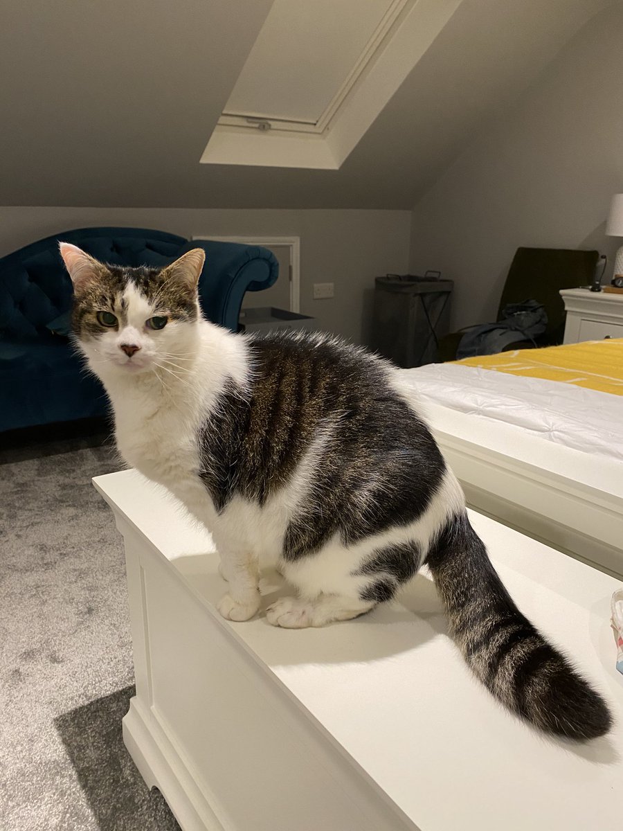 100億円トレーダー@バンコク在住🇹🇭 tweet media