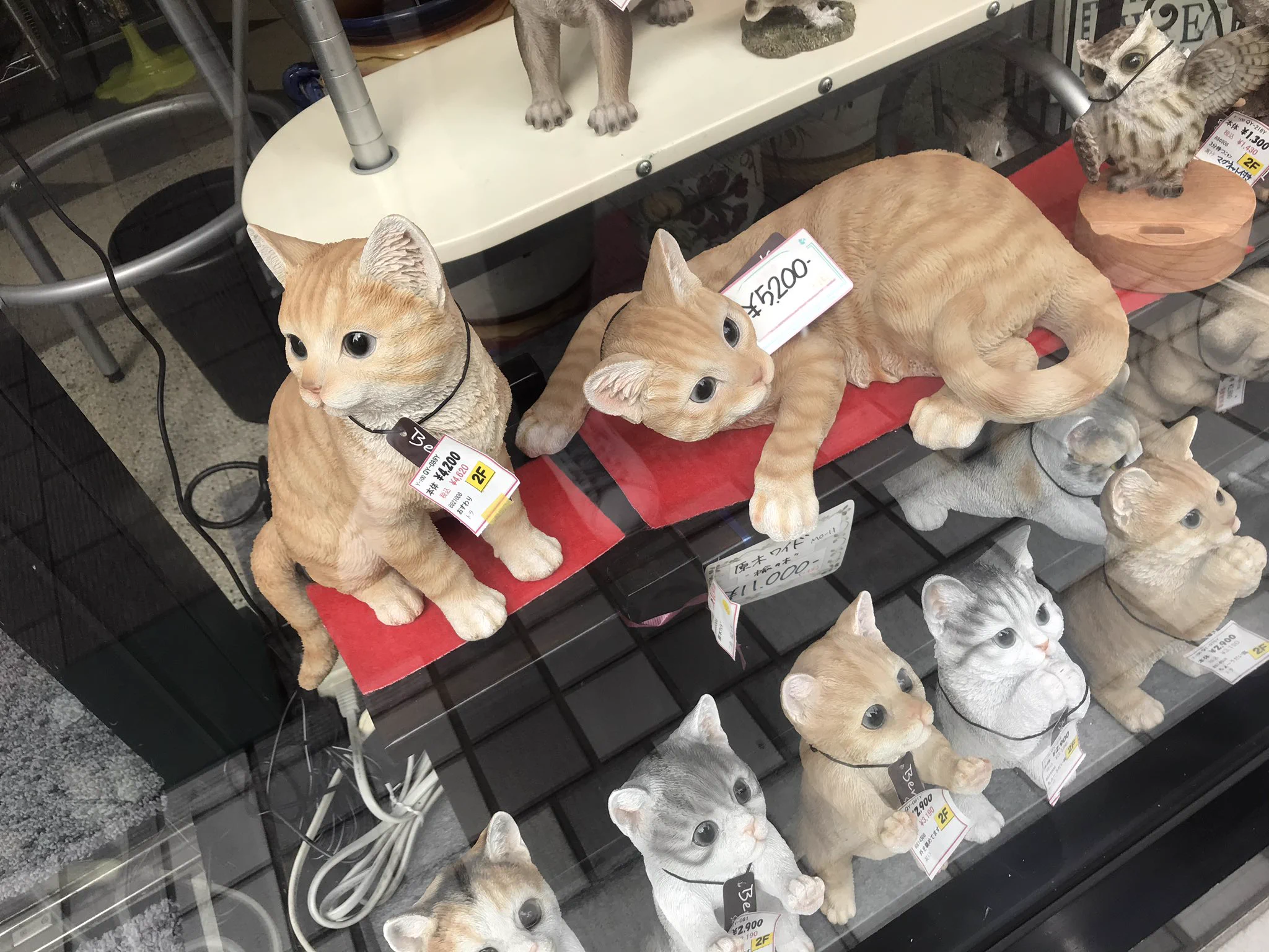 荻窪で見かけて思わず「どんくさくんだ！！！」と叫んでしまった。  