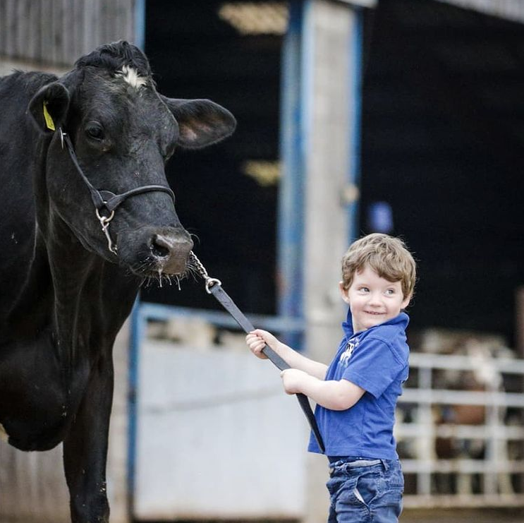 FarmersGuardian's tweet photo. Just getting ready for that Young Handlers trophy >>
๐ท https://t.co/Ddel9vJY9r.wife and hannahcrawfordphotography
#farmlife #cow #younghandler #farmkid #livestock https://t.co/FD2IRiciSG