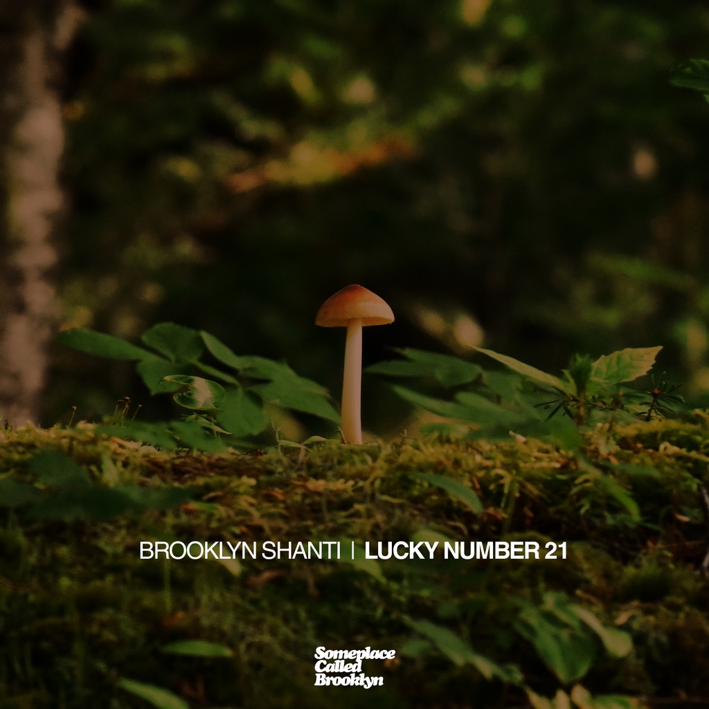 "Lucky Number 21" is a pop drum n  bass explosion courtesy of <a href="/vishalkanwar/">v:shal kanwar</a> helming Genius Mistakes and <a href="/brooklynshanti/">Brooklyn Shanti</a> rocking the mic as the1shanti - #NowStreaming via <a href="/Soulspazm/">Soulspazm</a> soulspazm.ffm.to/luckynumber21