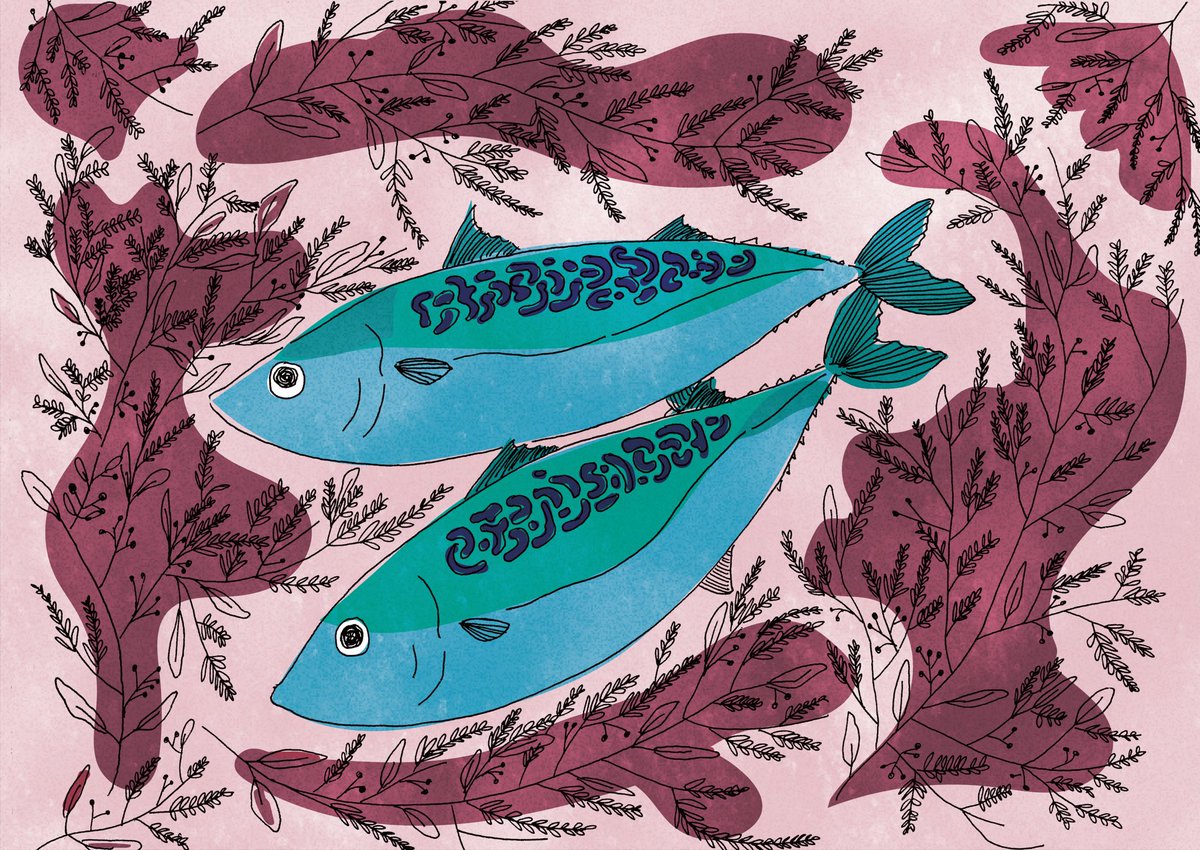 魚のイラスト