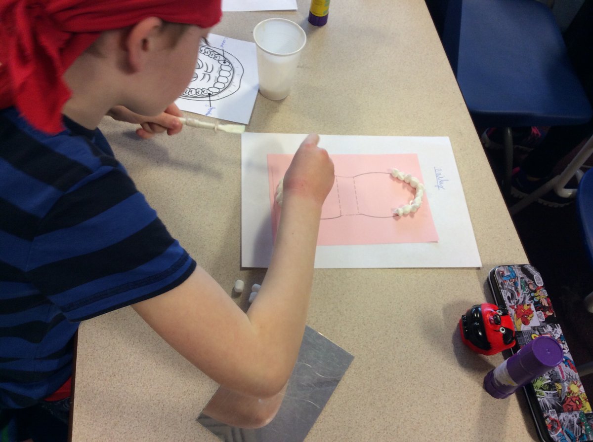 Year 4 have loved their science work this afternoon, learning about the different functions and types of teeth.We made teeth out of mini marshmallows. <a href="/BrantonLearners/">Branton St Wilfrid's</a>