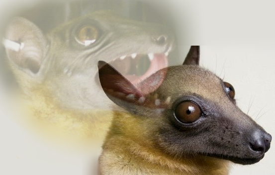 KT_NRE's tweet image. Thrilled to announce I have changed religions!! I now worship at the altar of Gmail's "undo send" feature, which saved a wretch like me from accidentally emailing someone this message/attachment combo