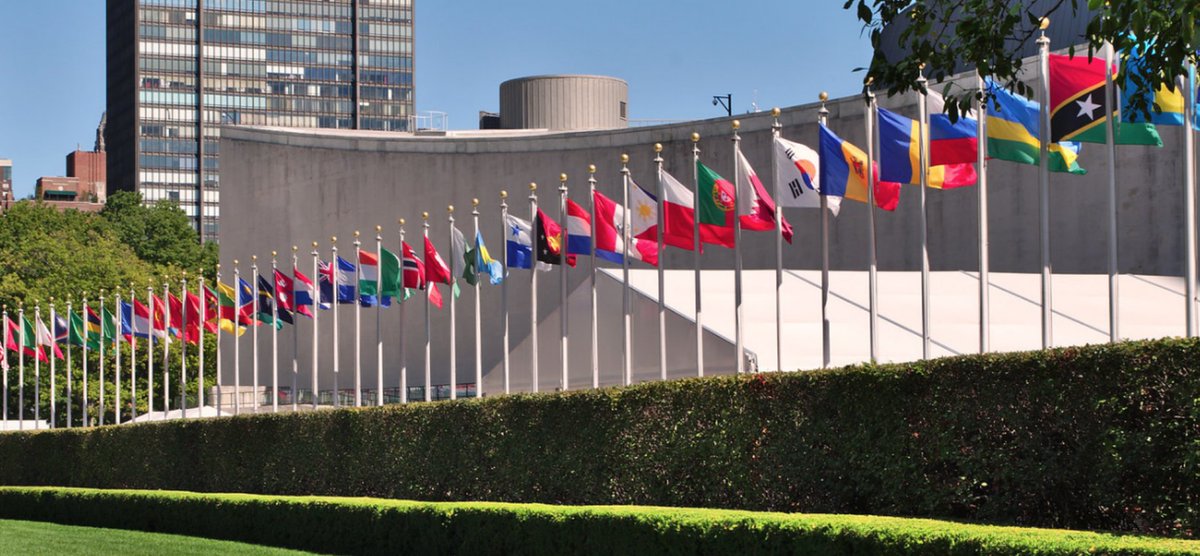 UN Dispatch tweet media