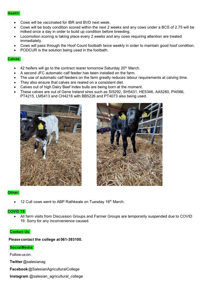 SalesianAg's tweet photo. This weeks Dairy Enterprise Update compiled by Dairy Enterprise Teacher @richiew1995  and Farm Manager @brendanryan111 https://t.co/JMTYrucvPf