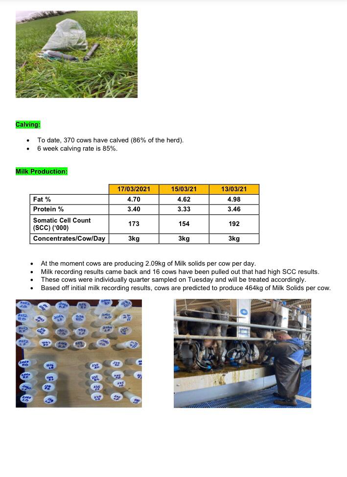 SalesianAg's tweet photo. This weeks Dairy Enterprise Update compiled by Dairy Enterprise Teacher @richiew1995  and Farm Manager @brendanryan111 https://t.co/JMTYrucvPf