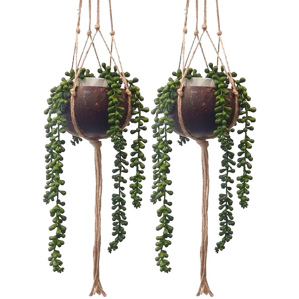 Our gorgeous coconut shell plant hangers just landed 🪴😌 go grab yours now! These are so stunning 😋🍂 #plantsofinstagram #planthanger #rusticdecor