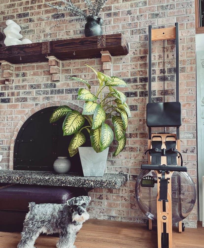 WaterRower's tweet photo. Anyone else feel a bit ~judged~ that we haven't rowed yet today? Just us?
Tweet us your captions for this photo π
.
.
.
πΈ x @luna_theschnauzerrascal
#waterrower #dogsofwaterrower #interiordesign #row #rudern #rameur #rowlife #usamade #weekendvibes #cardio #strength https://t.co/zbDMiyRmI2