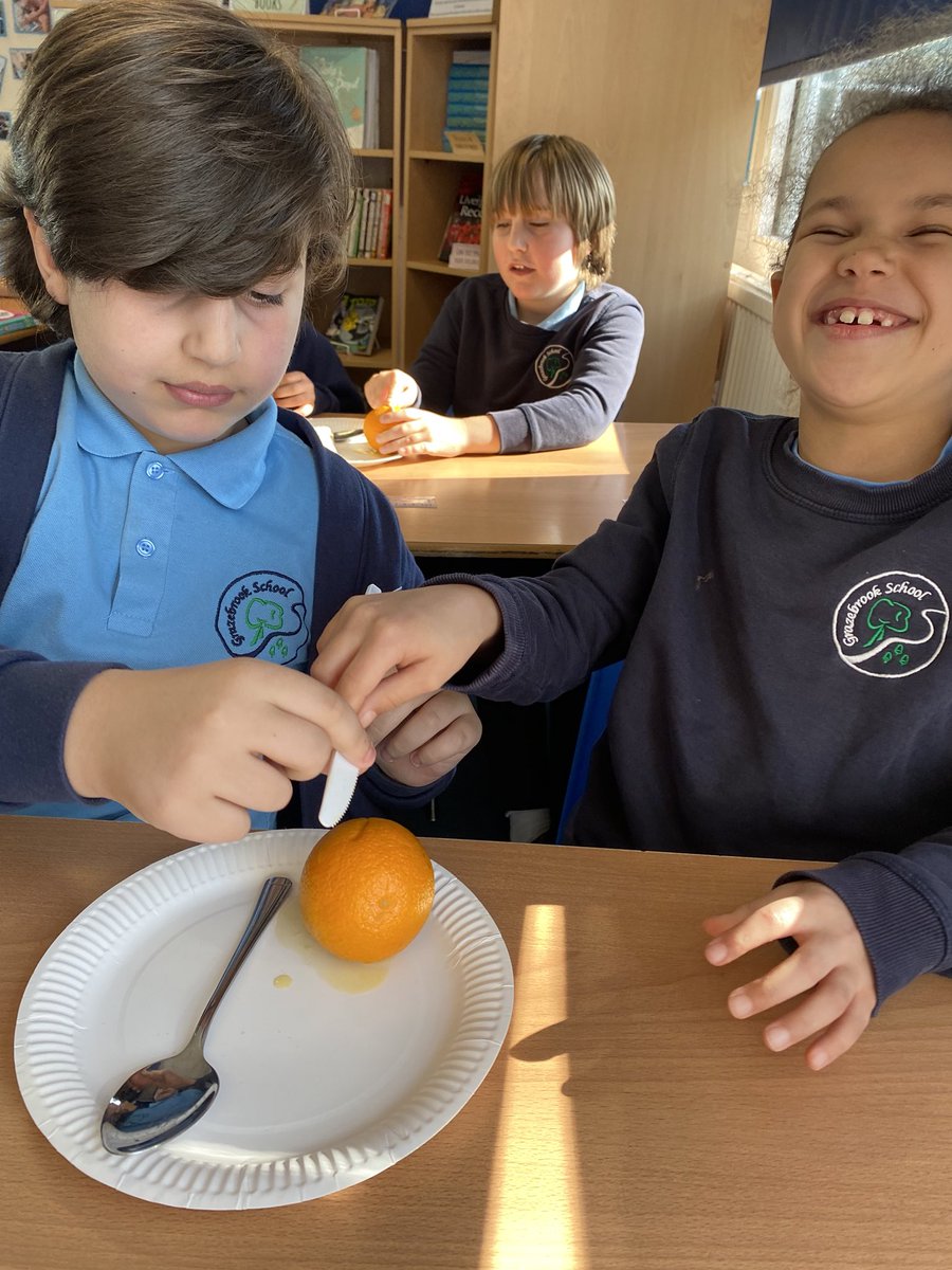 MissN0Donnell's tweet photo. Today Year 3 learnt about the Ancient Egyptian mummification process and why it was important to the Egyptians! They then had lots of fun mummifying oranges 🍊 @Grazebrook_Pri https://t.co/h90Ayd0DAr