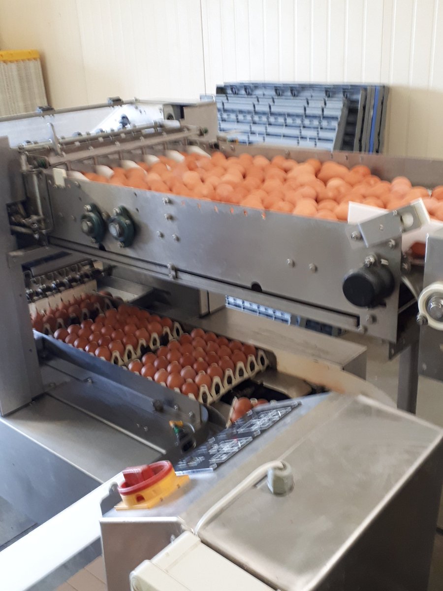 fredchart2's tweet photo. Tous les jours sur le pont pour nourrir les🇫🇷 avec un🥚sain et de qualité @casino @AUCHAN_France @CarrefourFrance @ULesCommercants @intermarche  refusent de me payer 1 centime de plus pour être encore là demain 
@ChLambert_FNSEA @EggXpertSale @JoliesRousses @cquifontoeufs https://t.co/V92wqIj8WF