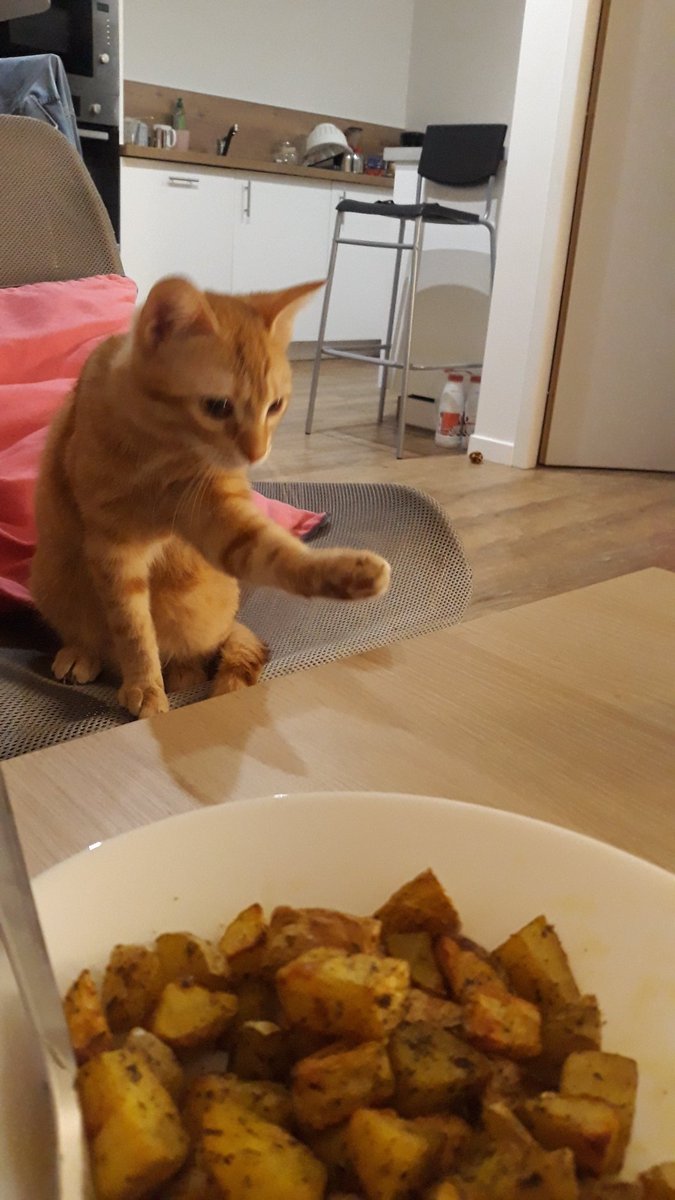 abricot fragile. tweet media