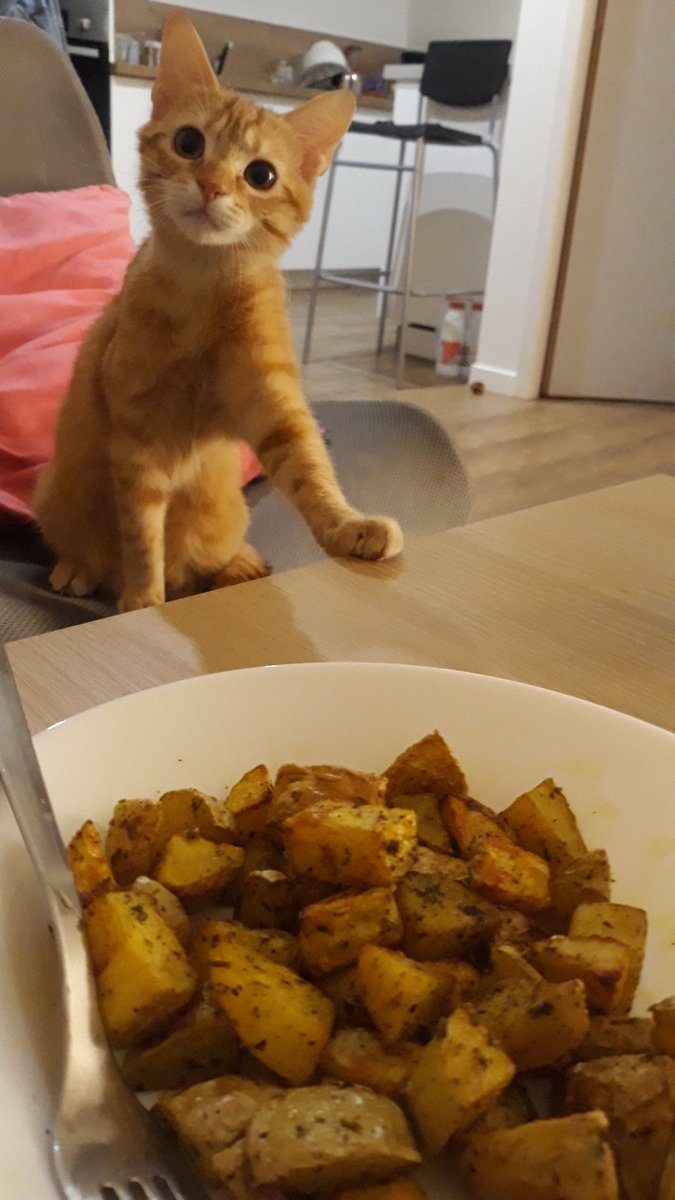 abricot fragile. tweet media