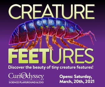 Opening tomorrow!🎉Wander through an outdoor gallery of neurobiologist Dr. Igor Siwanowicz’s exquisite photography and learn about the anatomy of the world’s smallest creatures captured with a digital camera and confocal microscope.
Reserve tickets here!👉 ow.ly/nbX550E3MmT