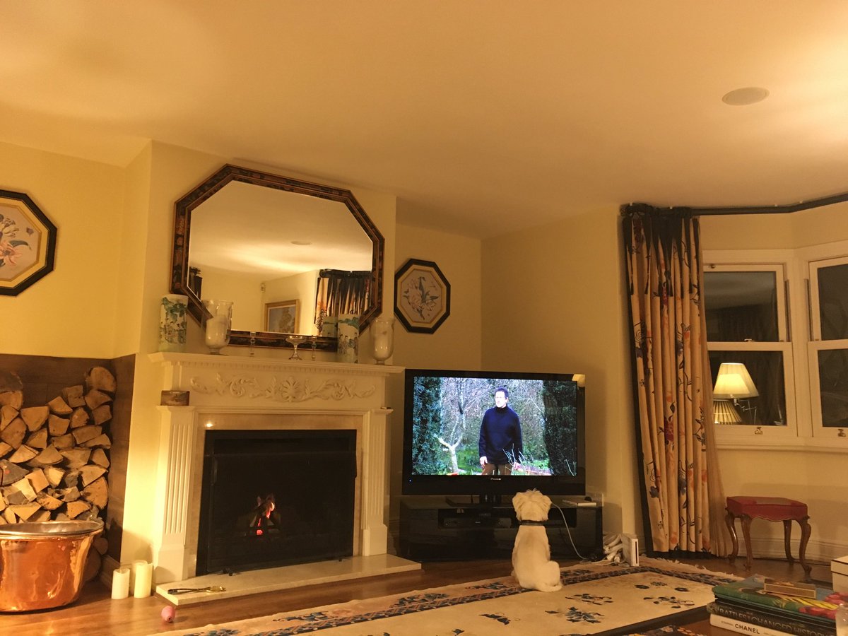 paws4thought4's tweet photo. Shhhh! I’m watching Monty Don’s Gardeners World. It’s a new series. Baz as you know is an avid gardener https://t.co/IDSkMo89Ak