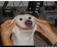 Fenixdumbdumb's tweet image. hello people