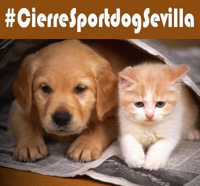 amaregar's tweet photo. Luchemos por el #CambioLeyBienestarAnimal 
Consigamos #SacrificioCero 
Basta de campos de exterminio 
#CierreZoosanitarioSevilla 
#CierreSportdogSevilla 
@DPppeludos @enGatadas_AB @ProtectoraLARA @huelladejaen @AAcoge @AsociacionADAT @RefugioPara https://t.co/SLurDcwTg3