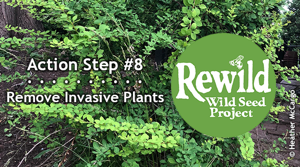 Rewilding Action Step #7: Don’t use fertilizers or pesticides on your plants — they harm wildlife &amp; nature. Ask your nursery for pesticide-free plants.

Pledge to Rewild (bit.ly/pledge-to-rewi…) — get free info &amp; resources to learn. #PledgeToRewild10ActionSteps #PledgeToRewild