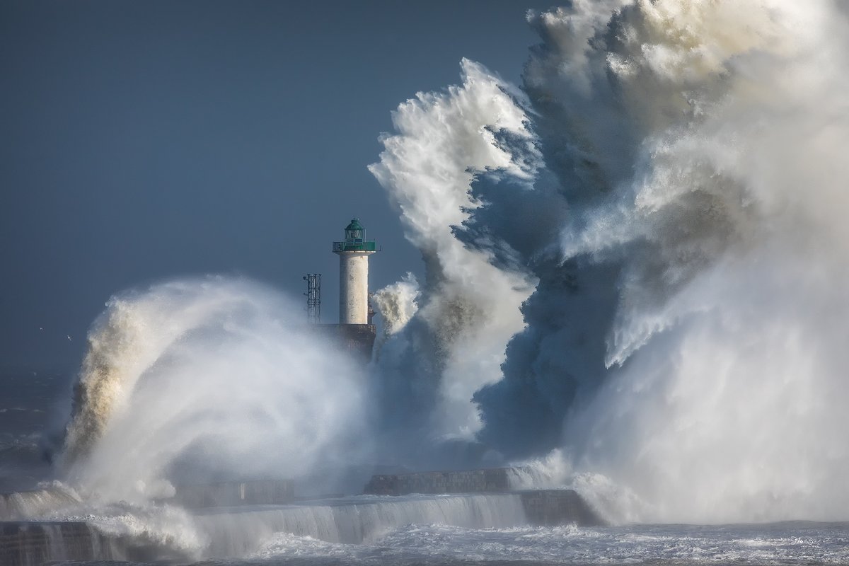 Bigand Florian tweet media