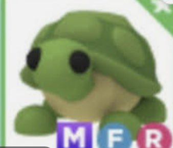 dragonIsCool690's tweet photo. #adoptmetrades #AMTrading  

Trading mega turtle for any age 4 neon  turtles or 3 neon turtles and a different neon legendary or good legendary https://t.co/x2SzX8dy4c