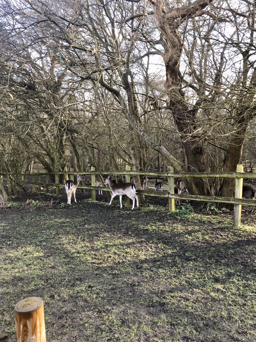 MorganLyndseyma's tweet photo. Today I am grateful for:
1. A beautiful walk to work
2. My final lesson with y13 before mock exams
3. It’s FRIDAY! #3littlethings @teacher5aday @drlucykelly https://t.co/Q0JbP6kmx4