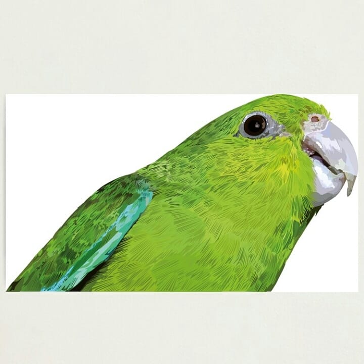 VectorizaT tweet picture
